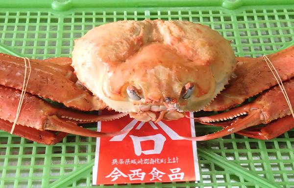 2位の画像